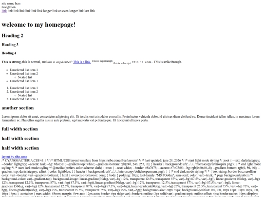 ribozone/template[1] screenshot